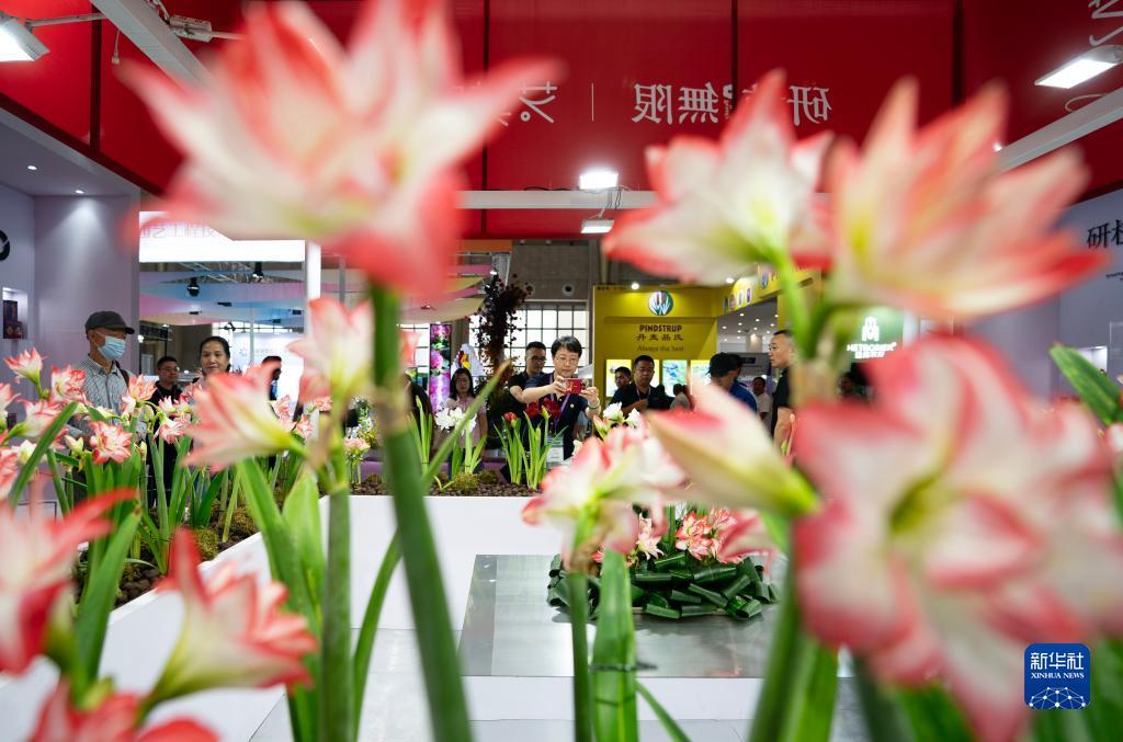 388棋牌个人登录中心